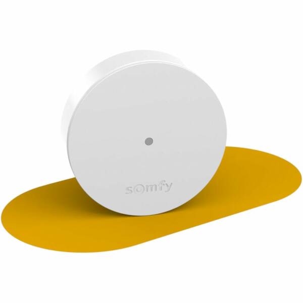 SOMFY 2401495 - Relais radio - Améliore la portée radio - Compatible Home Alarm (Advanced) et Somfy One (+)